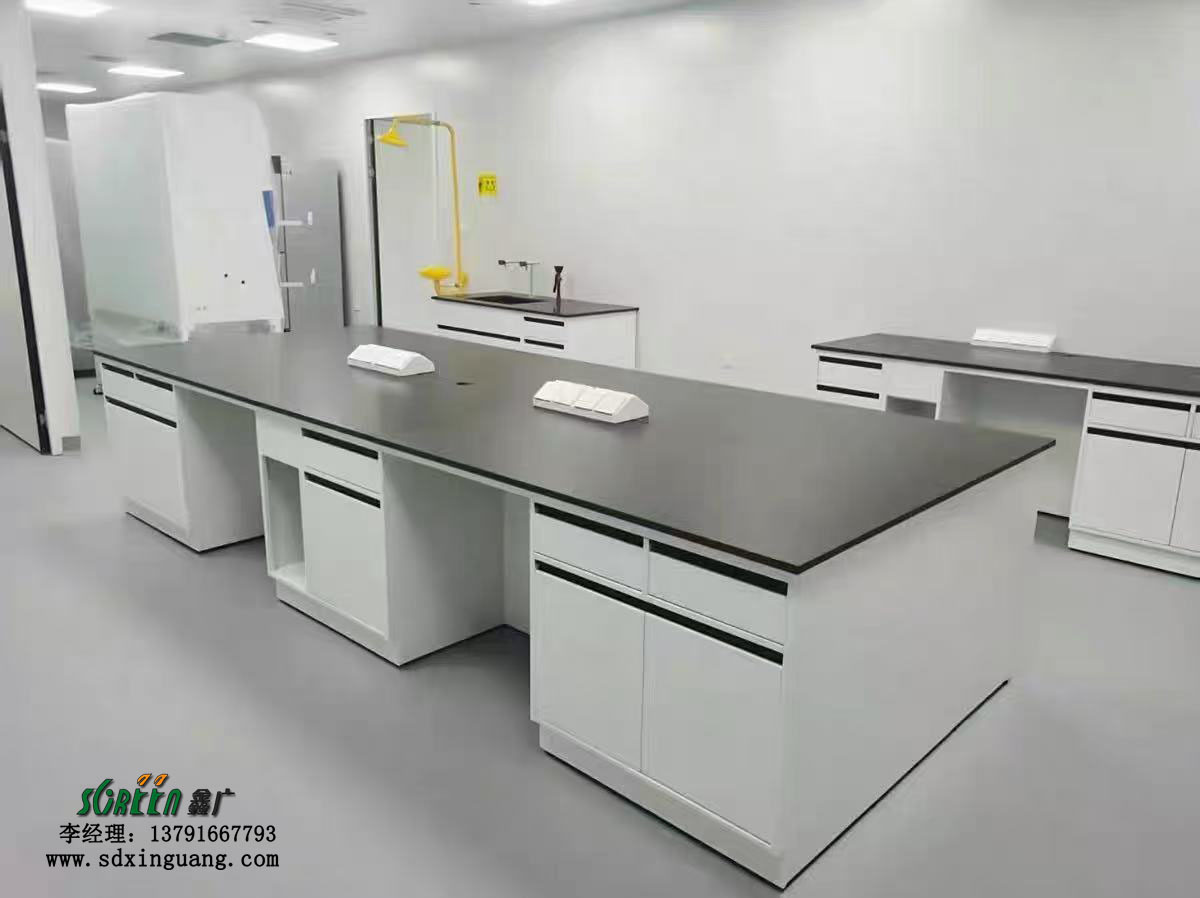 山東實驗室設備pp實驗室通風柜實驗臺廠家