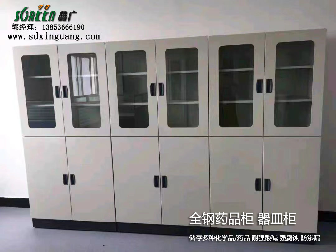 濰坊試劑柜 腐蝕藥品柜 器皿柜全鋼試劑柜供應(yīng)定制