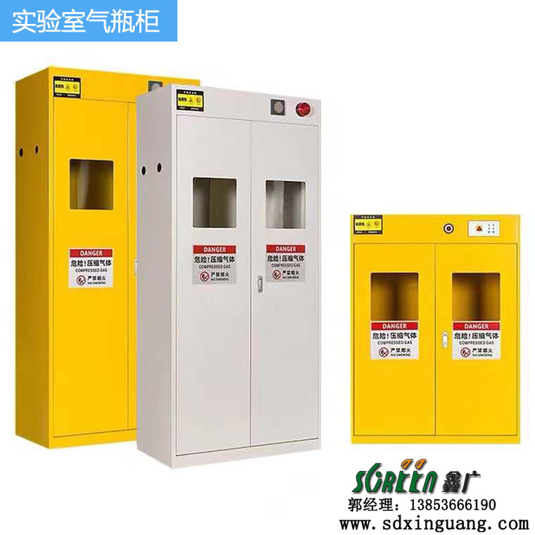 山東實驗室防爆氣瓶柜，化學品安全柜通風柜