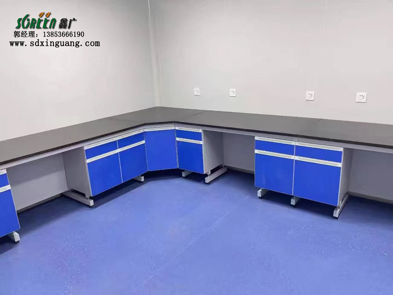 廠家定制實驗室PP通風柜,化驗室邊臺,實驗臺設備