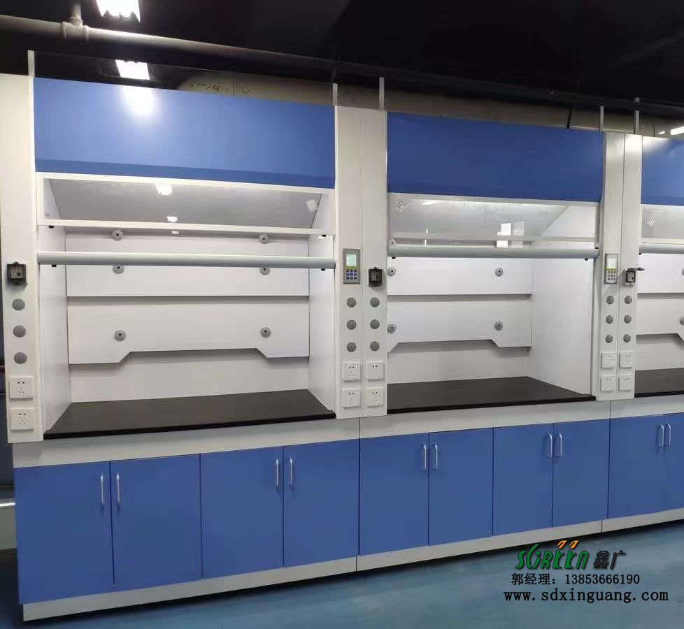 山東實(shí)驗(yàn)室通風(fēng)柜 化驗(yàn)室家具 通風(fēng)櫥廠家供應(yīng)