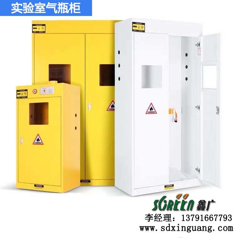 濰坊全鋼氣瓶柜，防爆安全柜，單雙瓶?jī)?chǔ)存柜，實(shí)驗(yàn)室安全柜