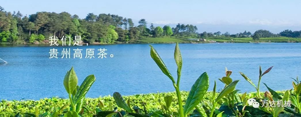 圖片名稱