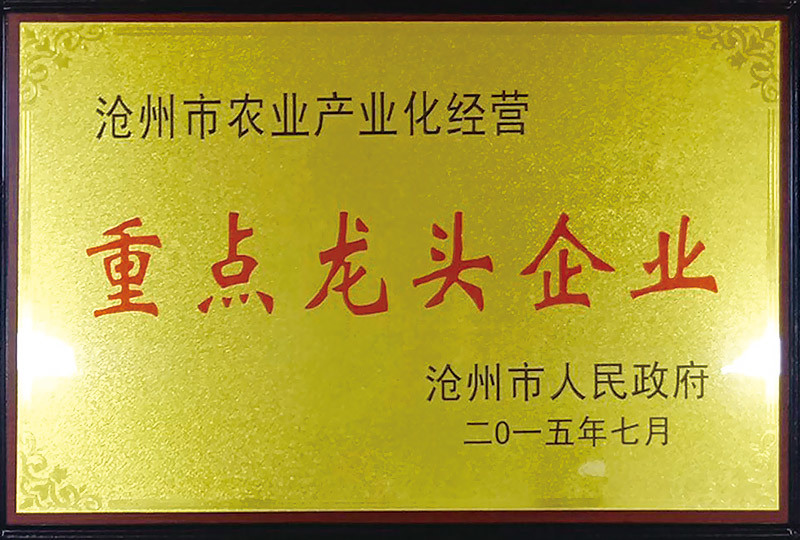 資質榮譽證書 資質榮譽證書