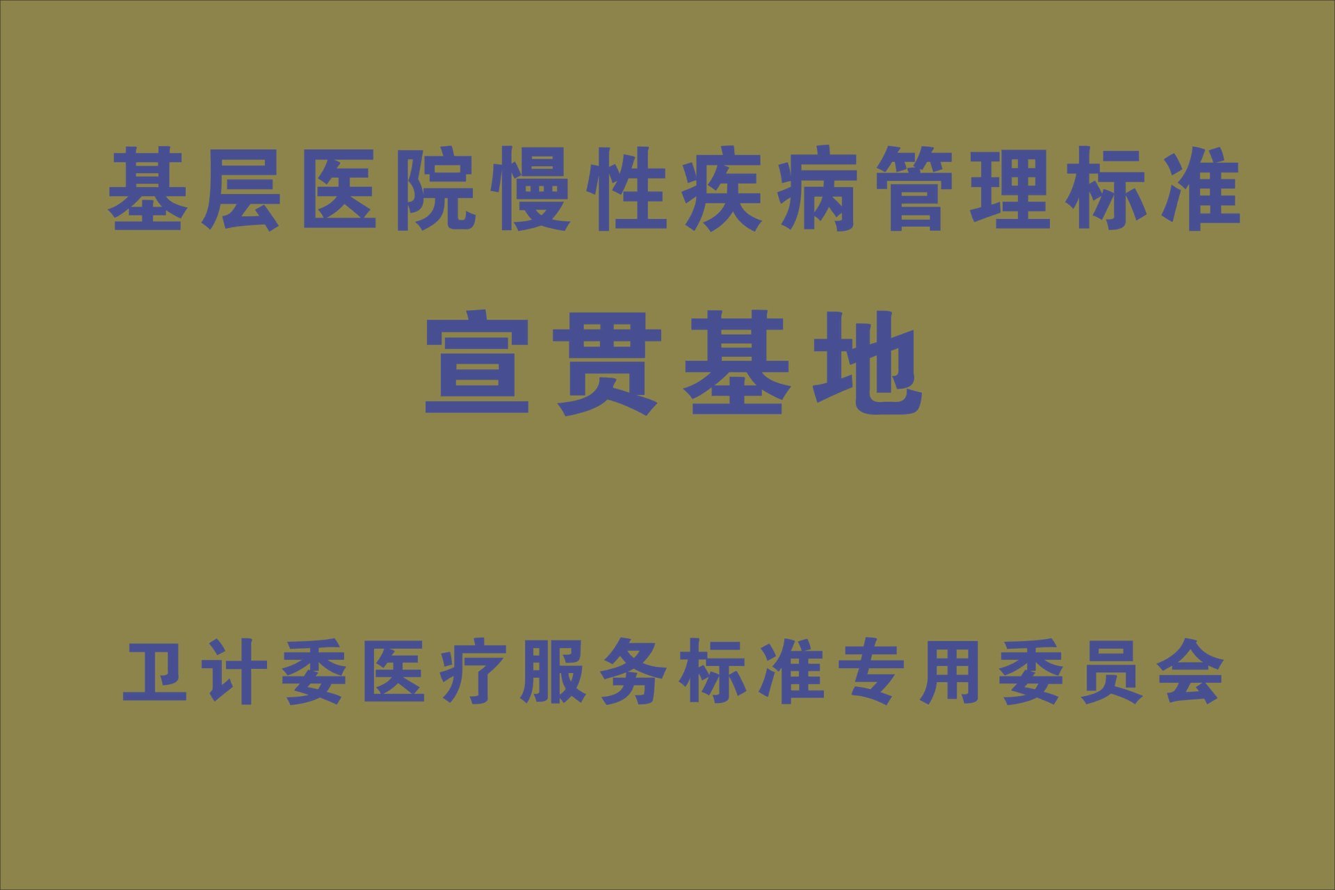 基层医院慢性疾病管理标准宣贯基地