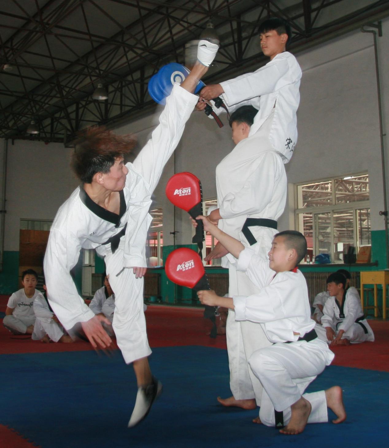 宋江武校是学跆拳道出名的地方，得到韩国著名跆拳道教授指导视察。