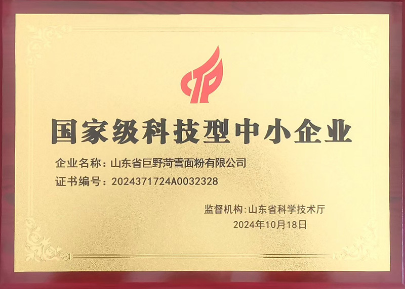 國家級科技型中小企業