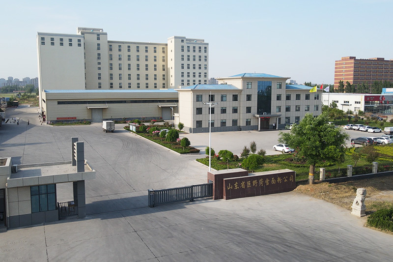 公司全景