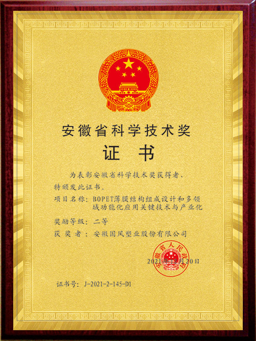 Anhui Provincial Science and Technology Award (2021)