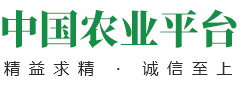 中國(guó)農(nóng)業(yè)平臺(tái)