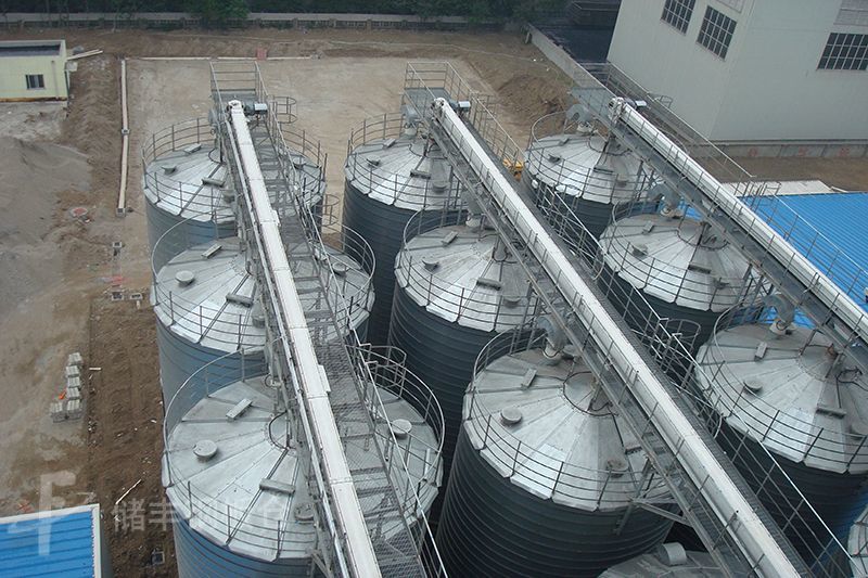 Zhenjiang Cargill