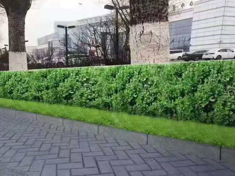 城市写真与回挡板