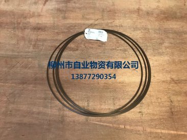 SP177257支撑环ZF.0501335114-柳州市自业物资有限公司
