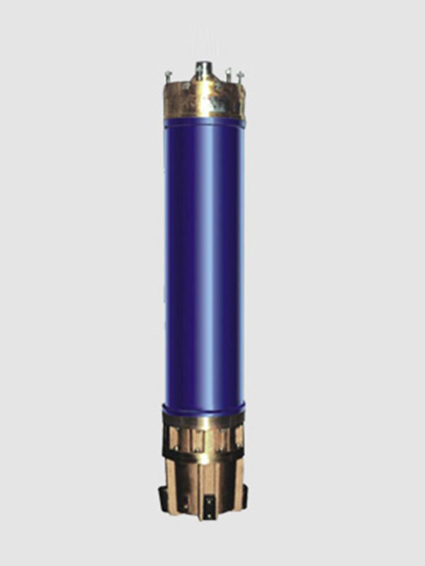 Submersible seawater electric motor(PYH15-92)