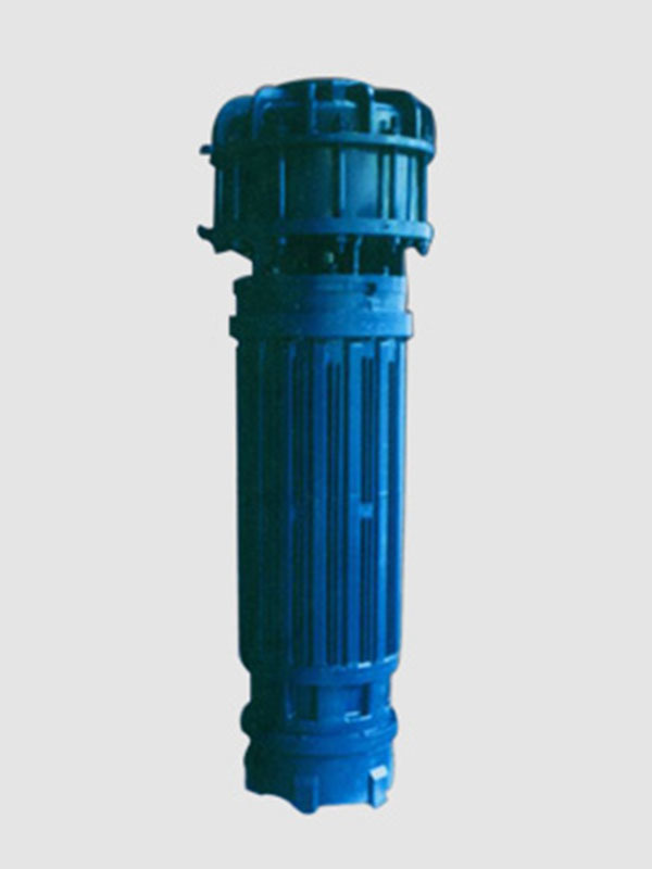Axial submersible pump（QZG)