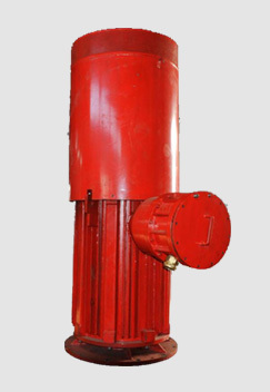 Vertical hollow-shaft electric motor(PYCH)