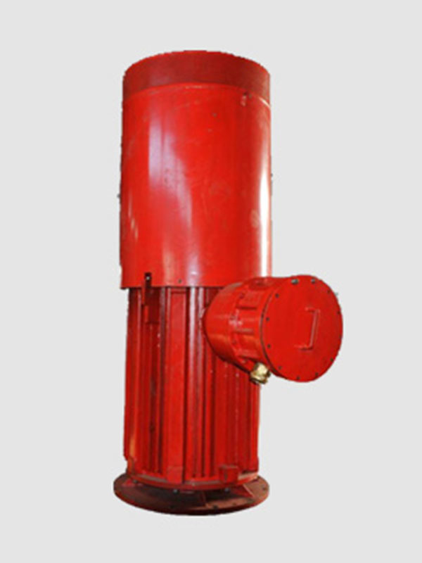Vertical hollow-shaft electric motor(PYCH)