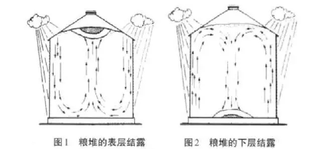 糧食結(jié)露