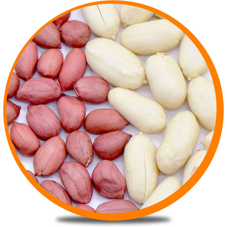 Red Skin vs Blanched Kernels