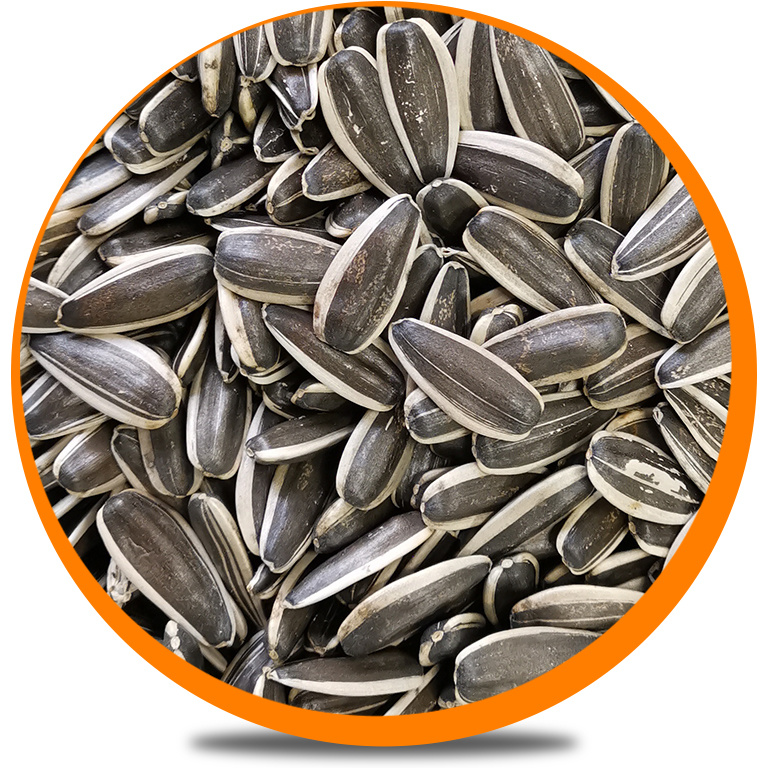 Sunflower Seeds