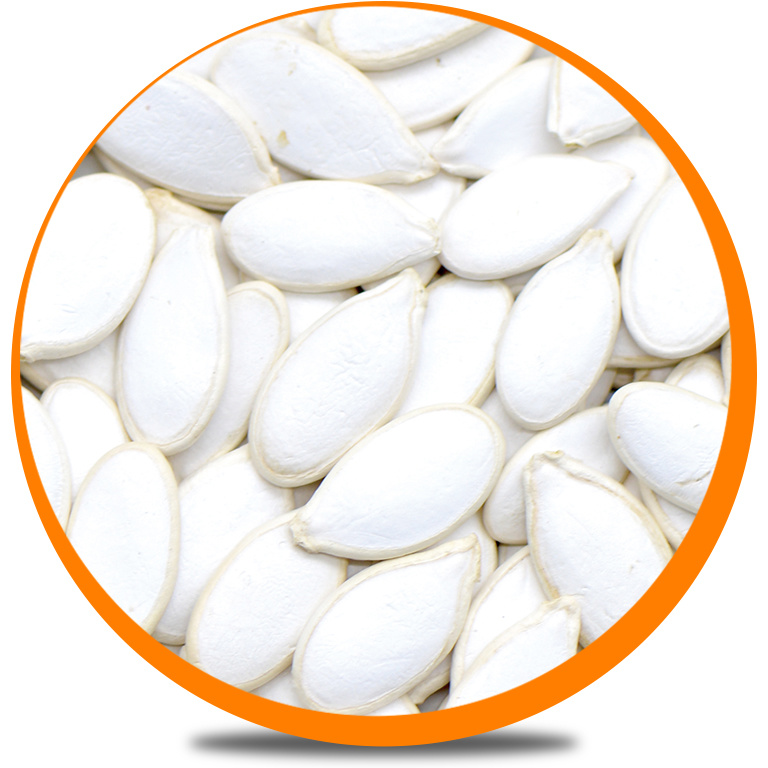 Snow White Pumpkin Seeds, L