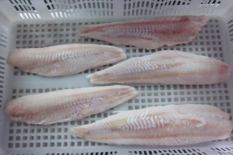 Pacific cod