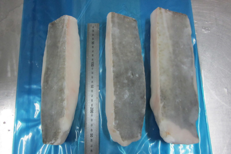 Atlantic cod