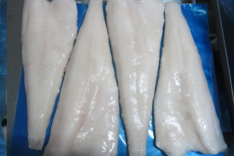 Atlantic cod
