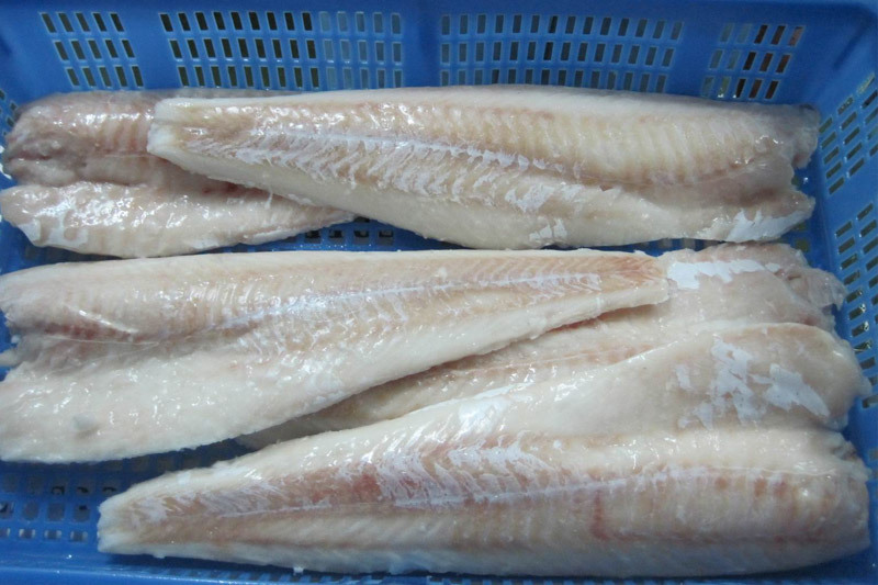 Atlantic cod