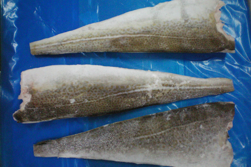 Atlantic cod