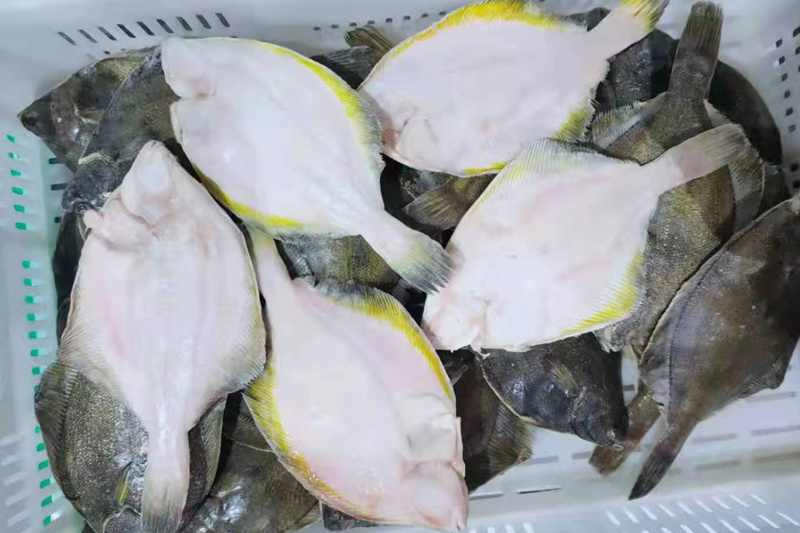 Yellow Fin Sole