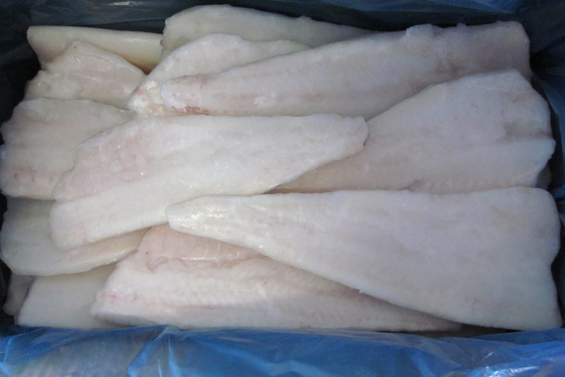 Pacific cod
