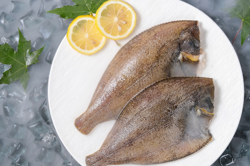 Yellow Fin Sole