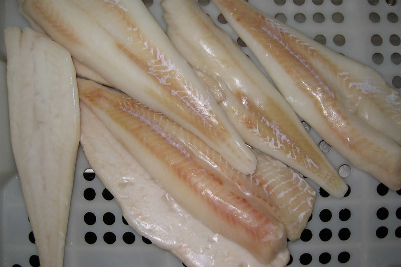 Alaska pollock