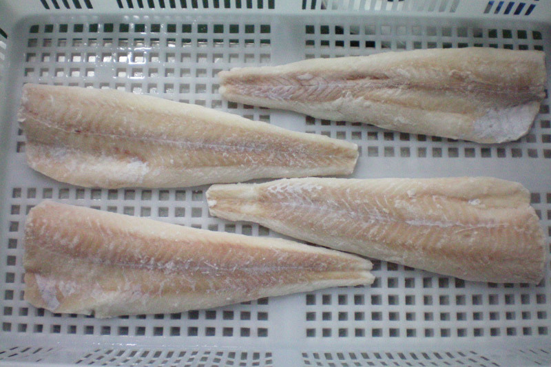 Alaska pollock
