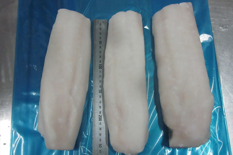 Atlantic cod