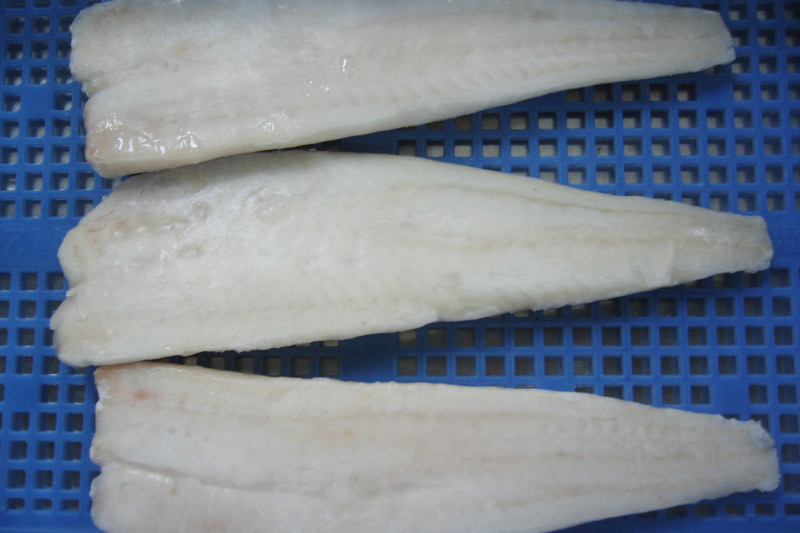 Atlantic cod