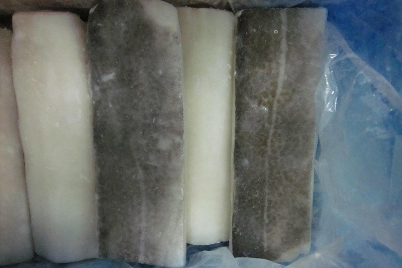 Atlantic cod