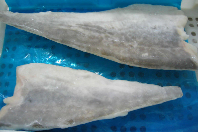 Pacific cod