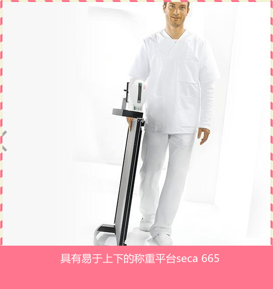 電子秤seca 665輪椅秤