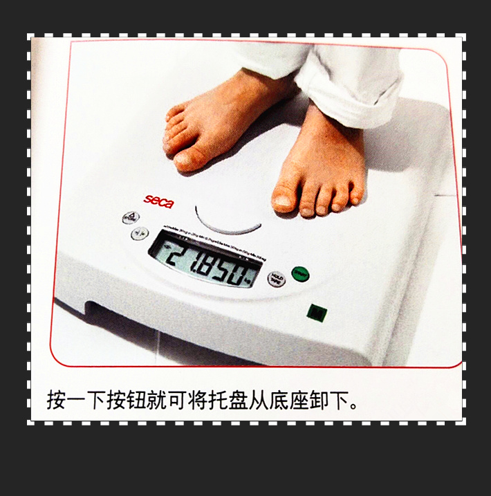 賽康電子秤seca 834
