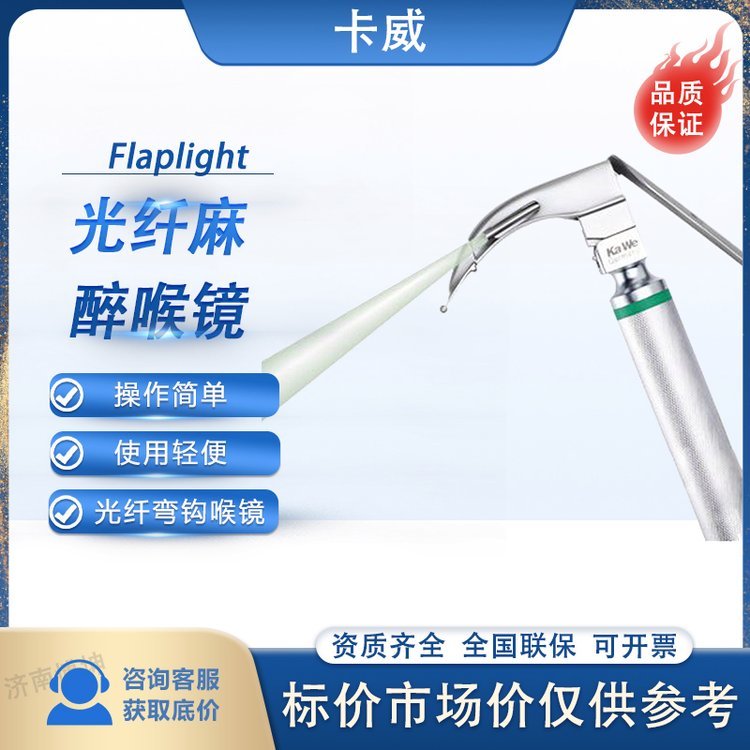 德國(guó)卡威光纖喉鏡Kawe喉鏡