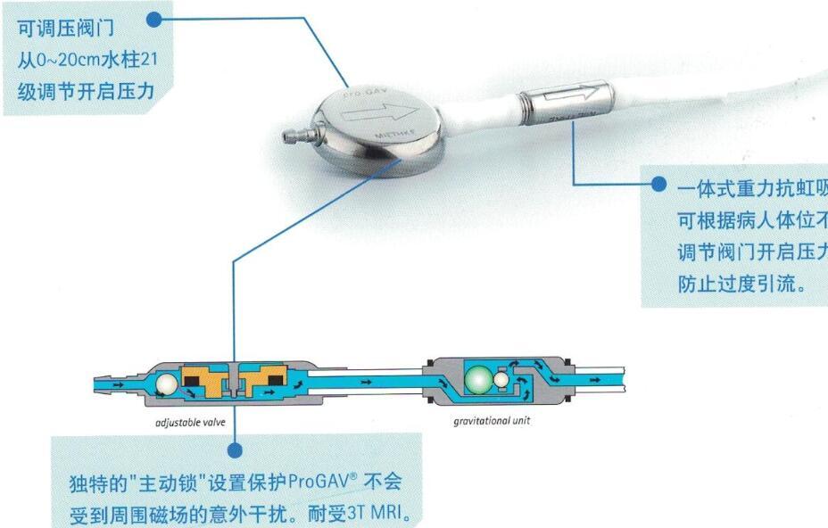 蛇牌ProGAV可調(diào)壓抗虹吸分流管