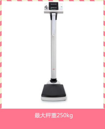 seca764電子立柱秤