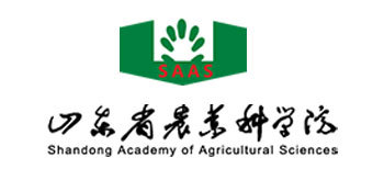 圖片名稱(chēng) 圖片名稱(chēng)