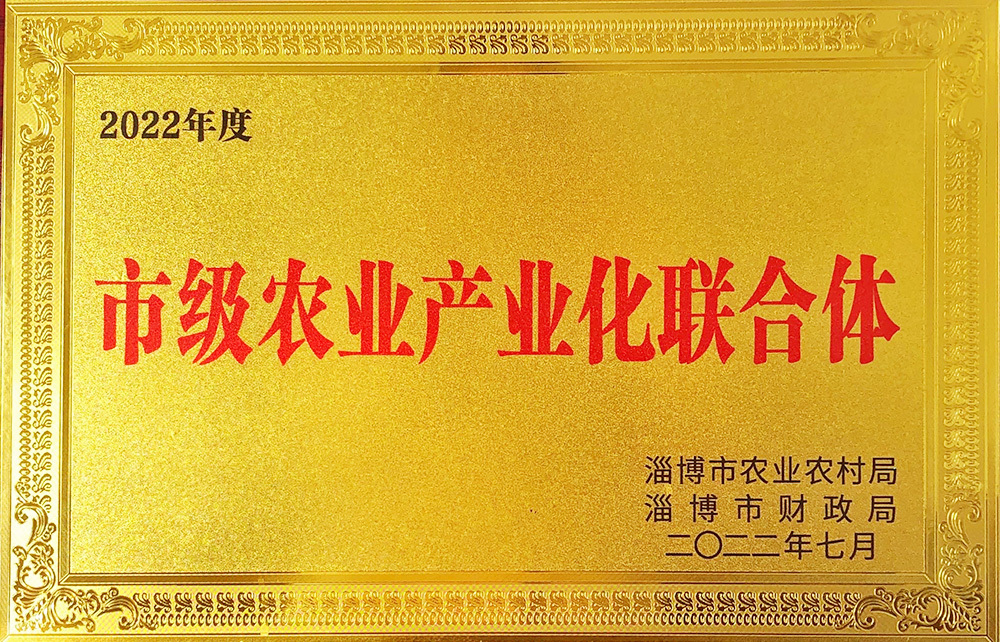榮譽(yù)資質(zhì)