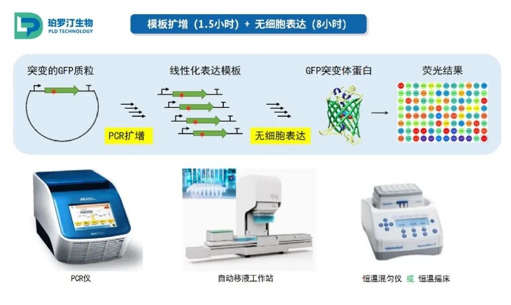  珀罗汀生物