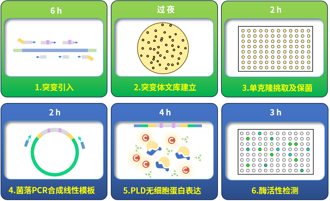  珀罗汀生物