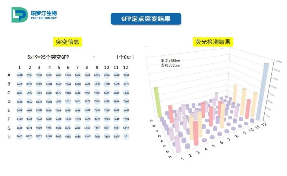  珀罗汀生物