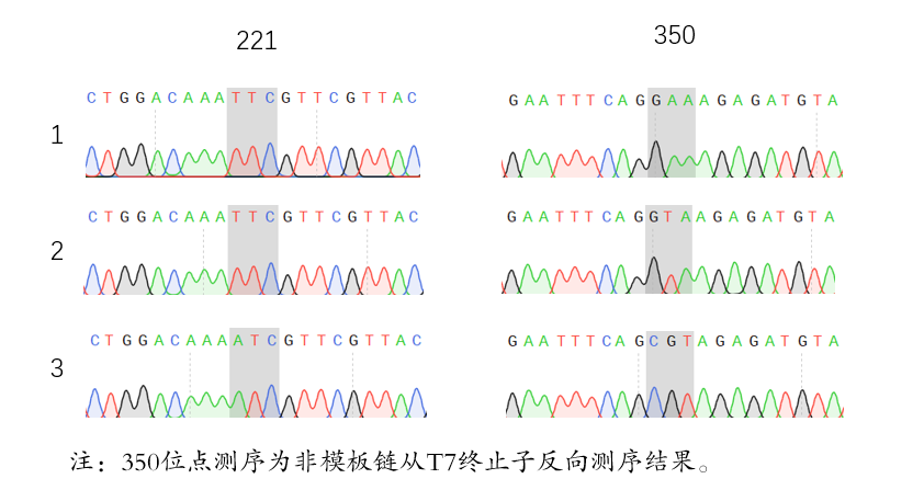  珀罗汀生物